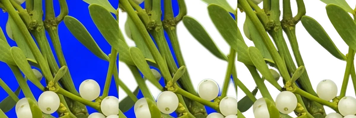 Mistletoe wreath: one 400 by 400 pixel region shown three times, the source render, the birefnet-general cut of it, and the ClipBrook cut of it