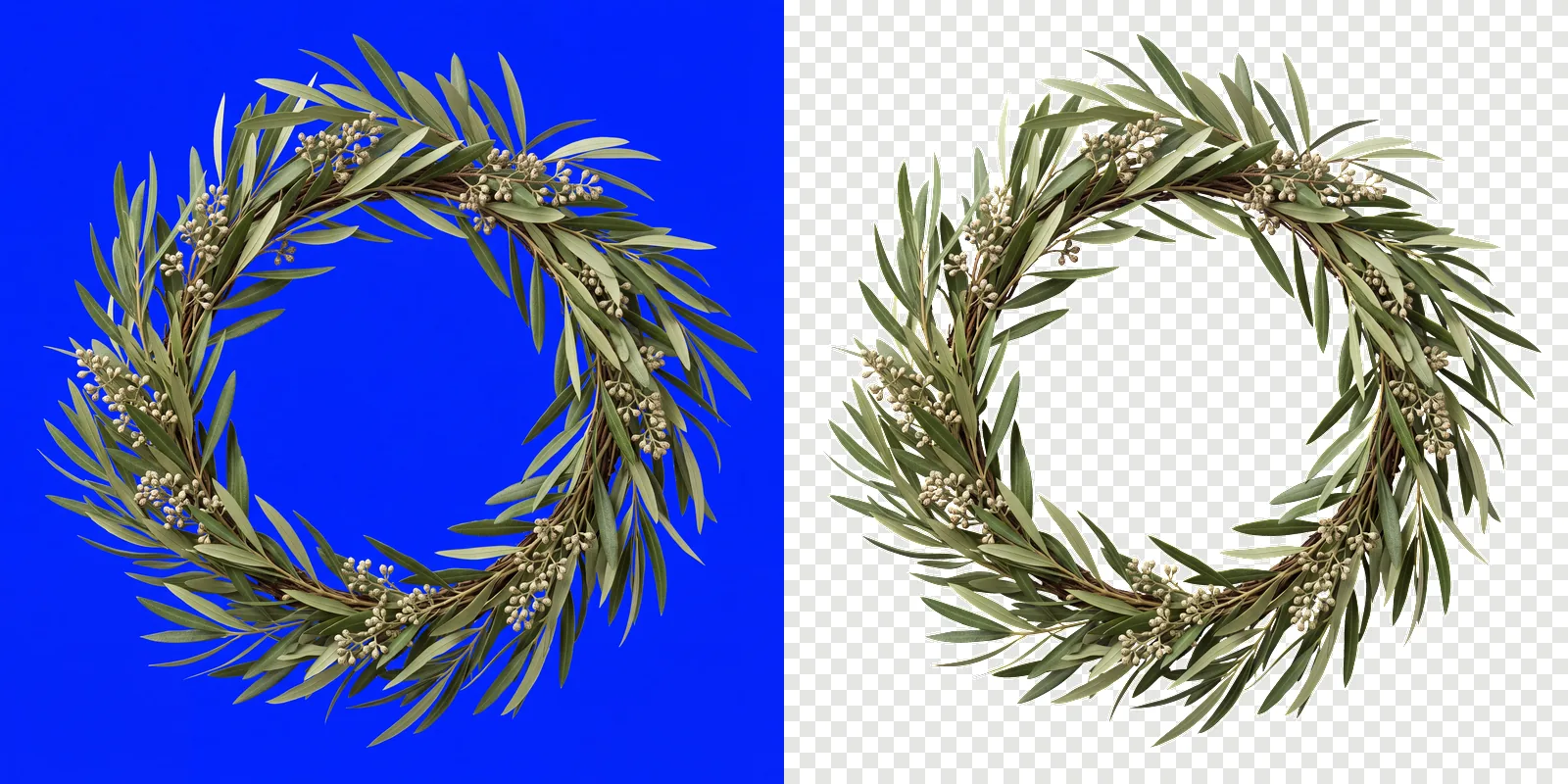A eucalyptus wreath rendered on a solid pure blue background, beside the same wreath cut out onto a transparent checkerboard