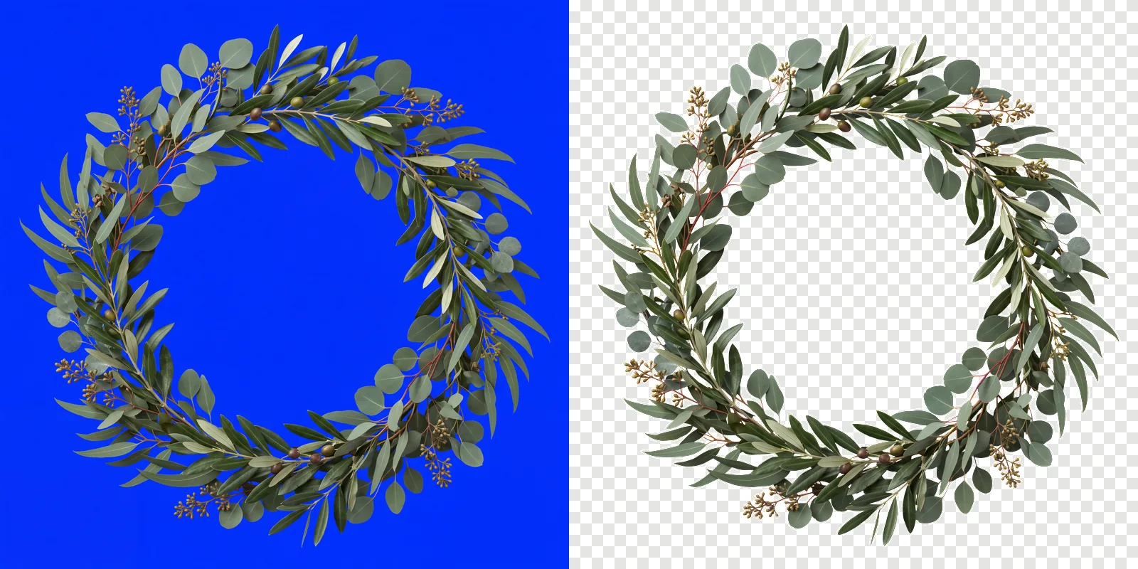 A winter greenery frame rendered on a solid pure blue background, beside the same frame cut out onto a transparent checkerboard
